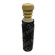 Capturar-removebg-preview.png